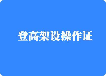 大鸡巴操女人逼一级片视频登高架设操作证